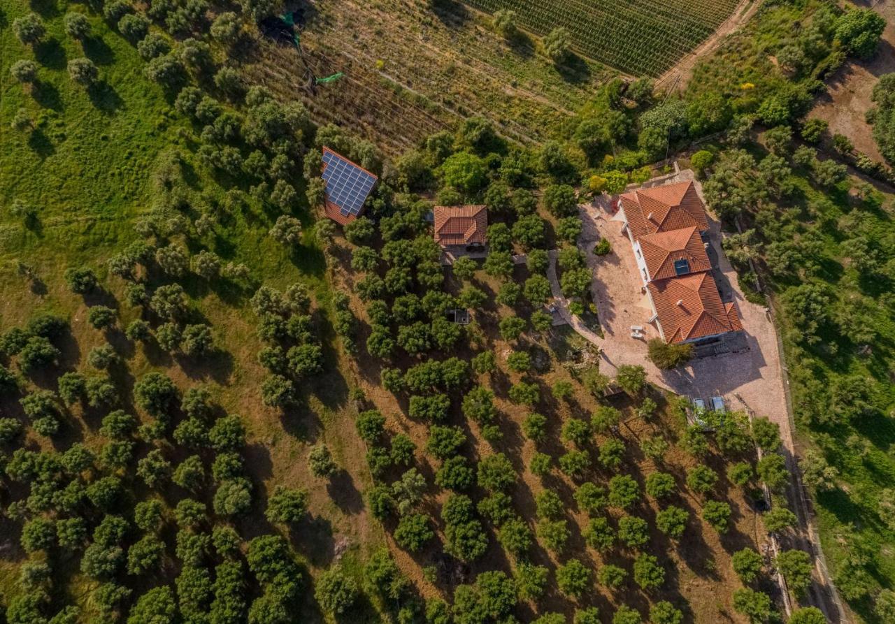 Ionianeon Apartments Agios Ilias  Екстер'єр фото