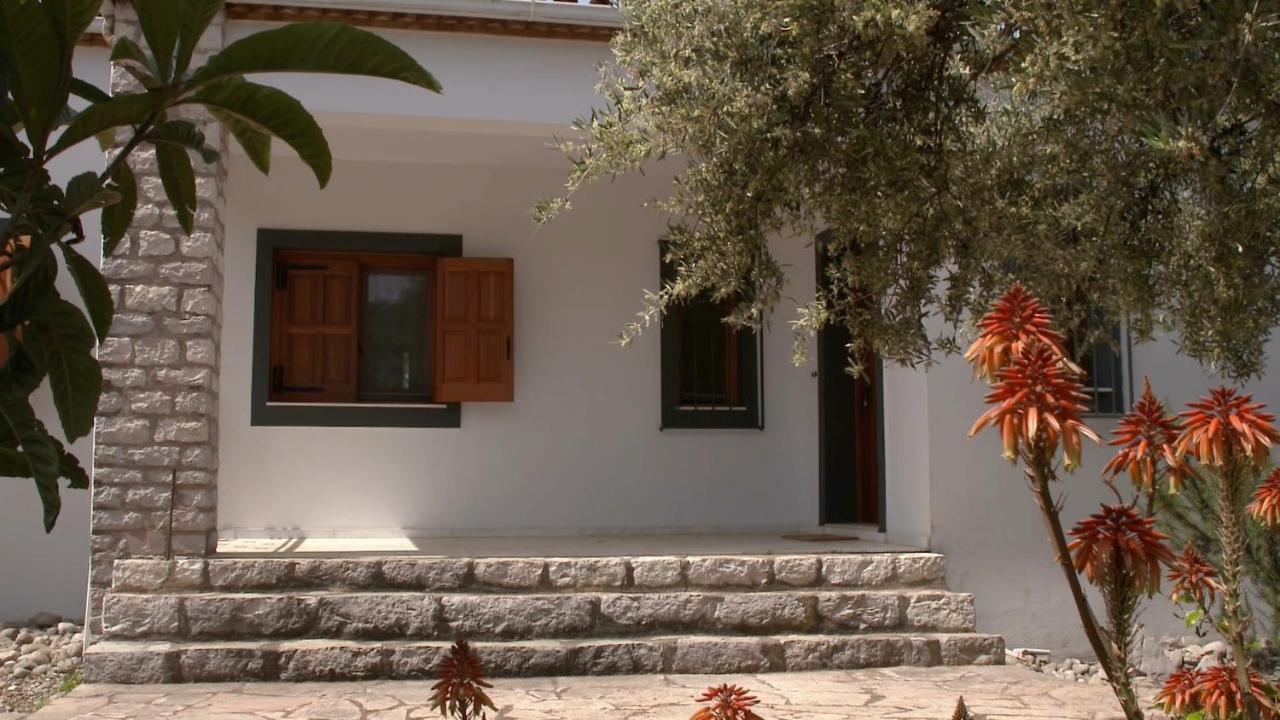 Ionianeon Apartments Agios Ilias  Екстер'єр фото