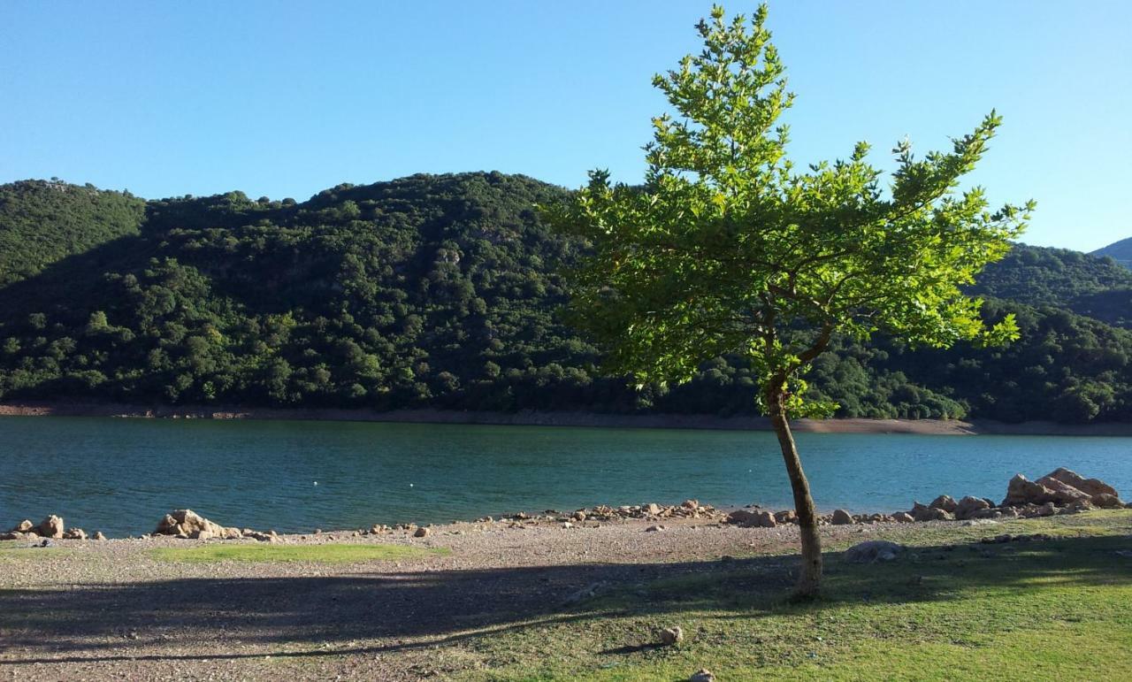 Ionianeon Apartments Agios Ilias  Екстер'єр фото